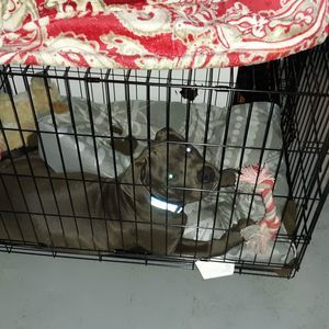 Meet your Posher, Courtney